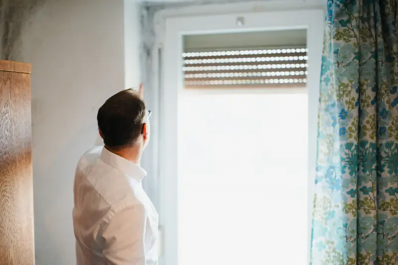 Professionelle Schimmelgutachten